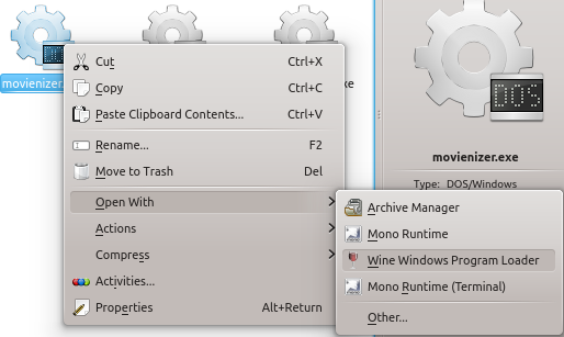 Open Movienizer with Wine