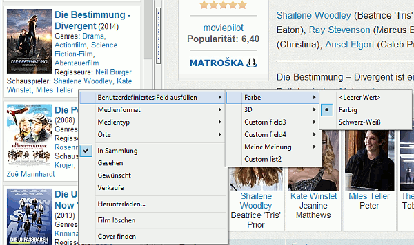 Benutzerdefinierte Felder im Kontext-Men